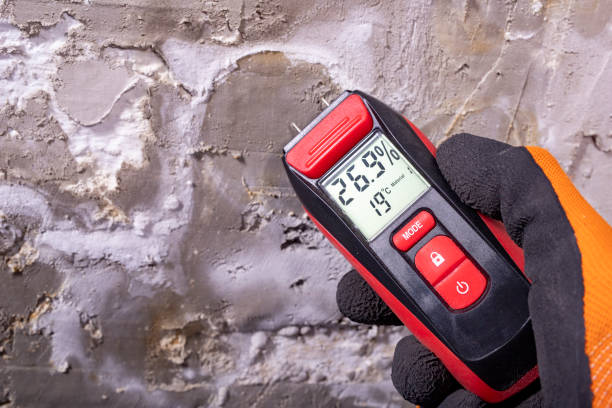 Best Commercial Mold Remediation in Hidalgo, TX