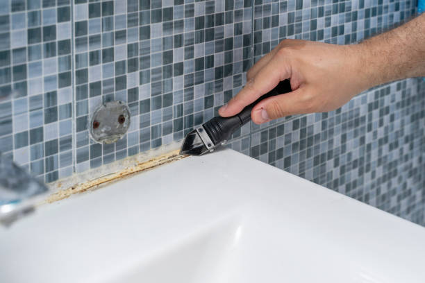 Best White Mold Remediation in Hidalgo, TX